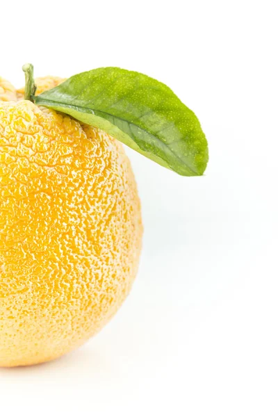 Сладкий апельсин с листьями — стоковое фото