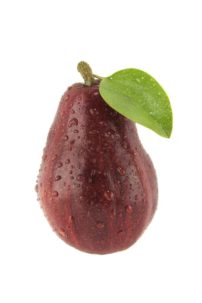 Färska röda päron — Stockfoto
