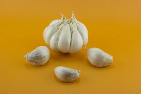 Garlic — Stock Photo, Image