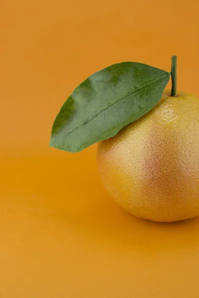 Стиглі апетитно грейпфрут — стокове фото