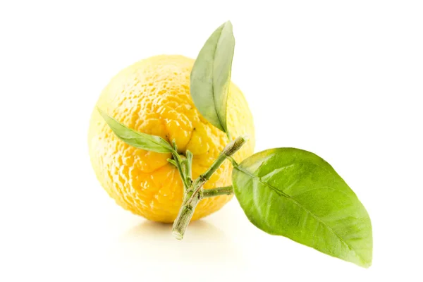 Sweet Orange Fruit with leaves — Stock Photo, Image