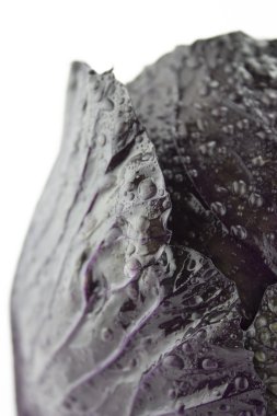 taze kırmızı lahana