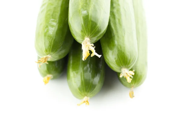 Pepino fresco — Foto de Stock