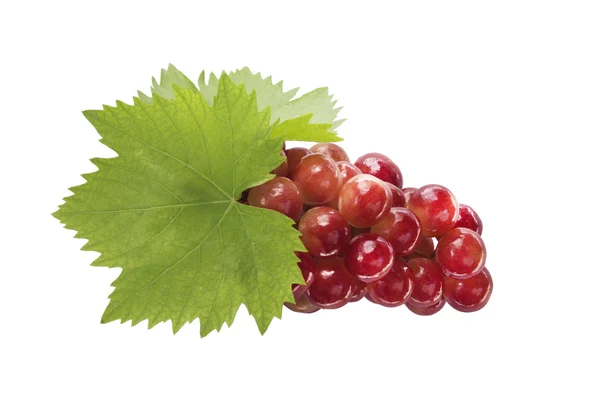 Ripe grapes with leaf — Stock Photo, Image