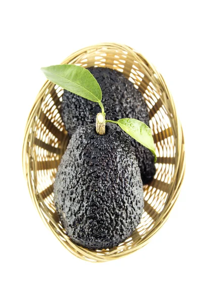 Černý zralé avokádo — Stock fotografie