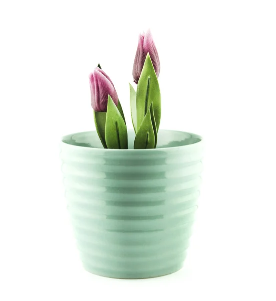 Vaso da fiori in ceramica — Foto Stock
