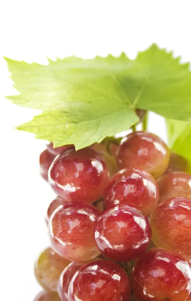 Стиглий виноград з листям — стокове фото