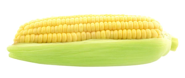 Corn — Stock Photo, Image