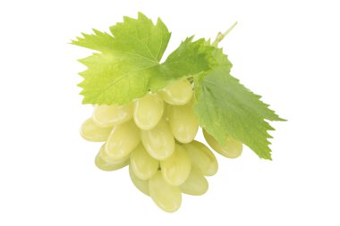 Olgun üzüm yaprağı