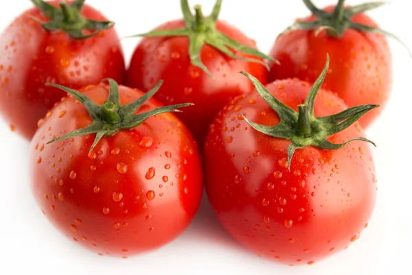 Verse rode tomaten — Stockfoto