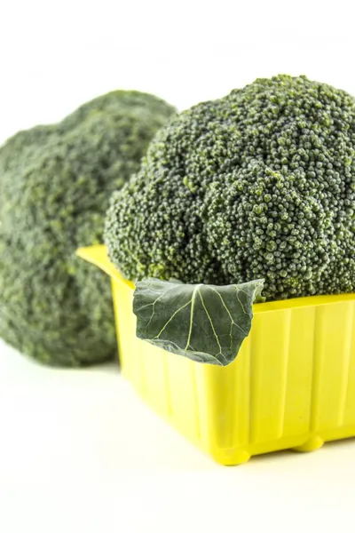 Broccoli freschi — Foto Stock