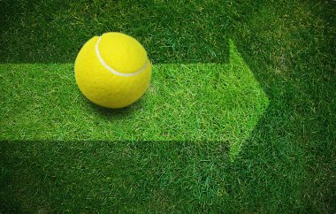 Tenis topu