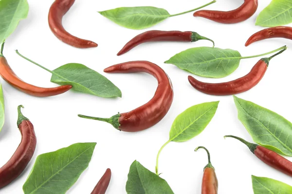 Hot chili pepper — Stock fotografie