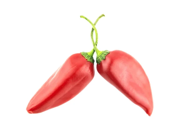 Hot chili pepper — Stock Photo, Image