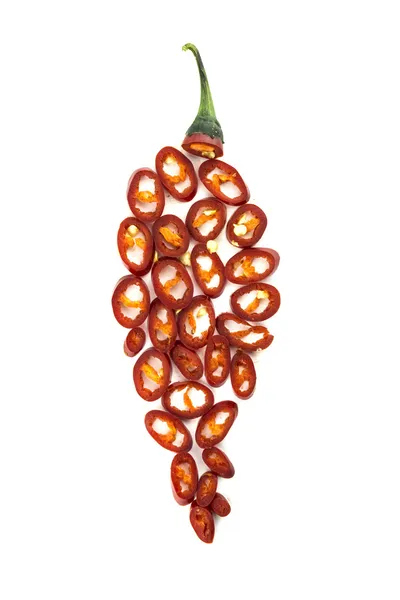 Chilischote — Stockfoto