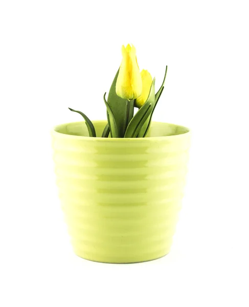 Vaso da fiori in ceramica — Foto Stock