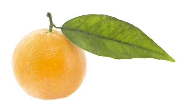 Clementine — Stockfoto