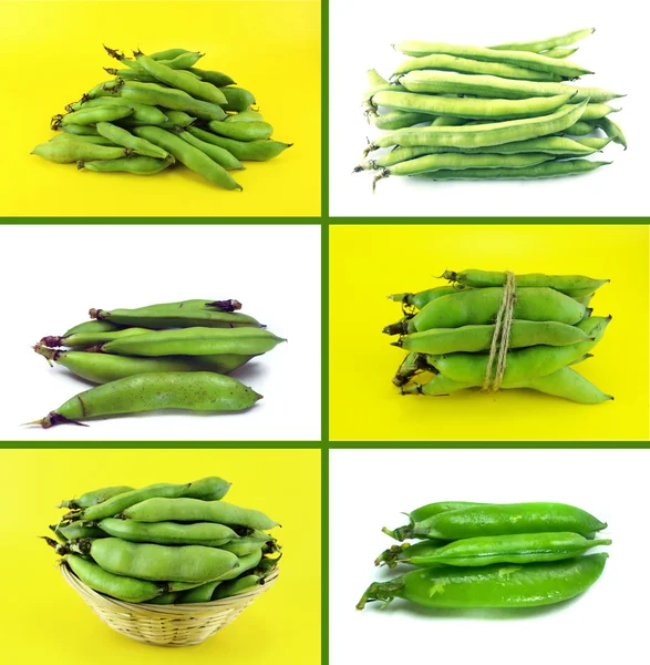 Hälsosam och ekologisk mat koncept — Stockfoto