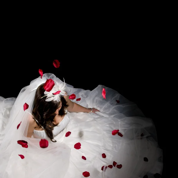 Isolated Bride — Stock Photo, Image