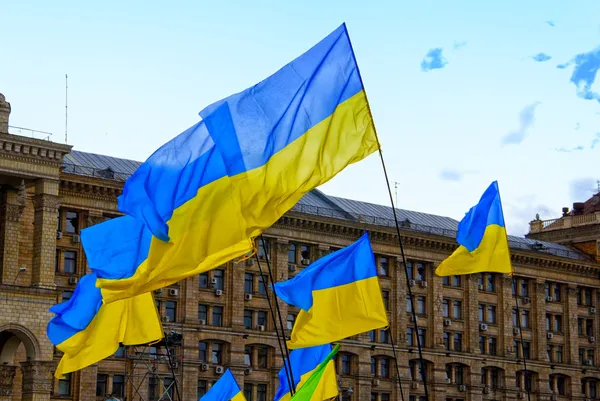 Ukraine flags — Stock Photo, Image