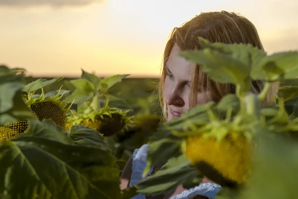 Woman in sunflower field — Stock Photo, Image