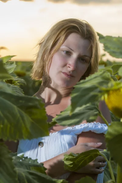 Woman in sun flower field — Stock Photo, Image