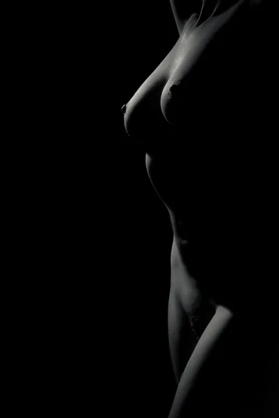 siyah-beyaz kıçını yakın çekim