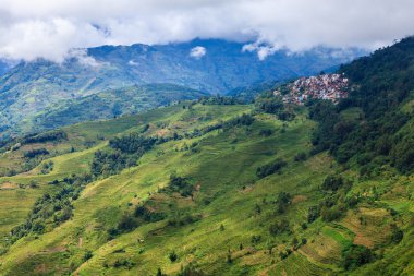 Yeşil Vadi Manzarası