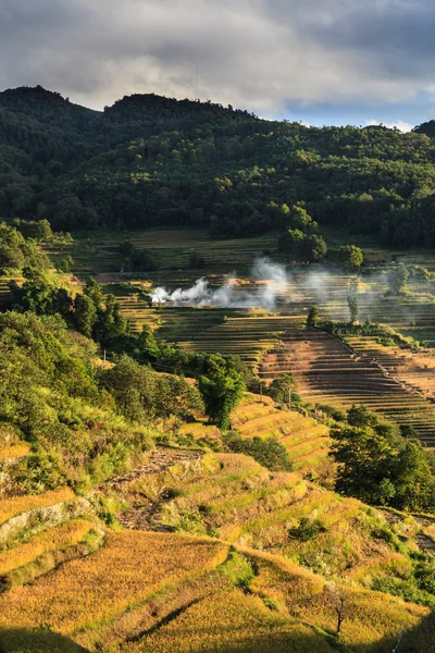 Krajina rýžové terasy v večer — Stock fotografie