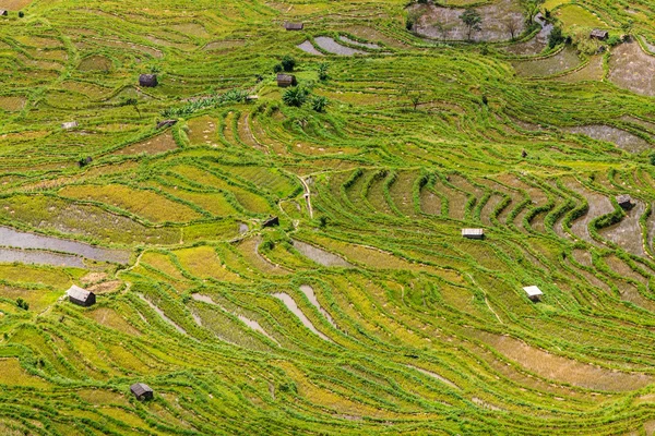 Vista superior de terrazas de arroz verde — Foto de Stock