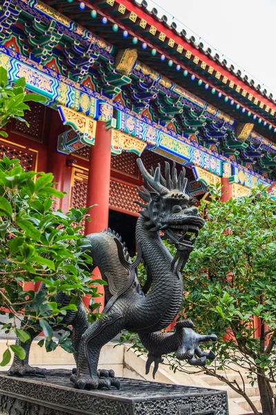 Bronzen standbeeld van een draak in het zomer paleis beijing — Stockfoto