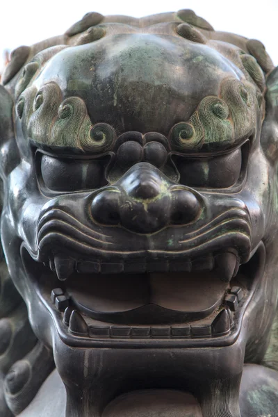 Close-up van bronzen standbeeld van een Leeuw op de summer palace — Stockfoto
