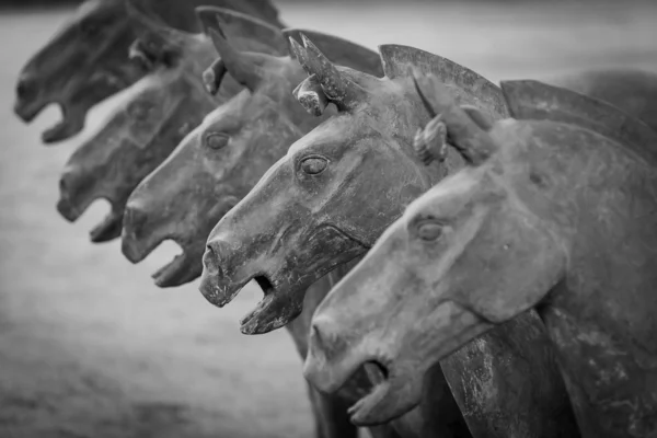 Terracotta horses in Xian China — Stock Photo, Image