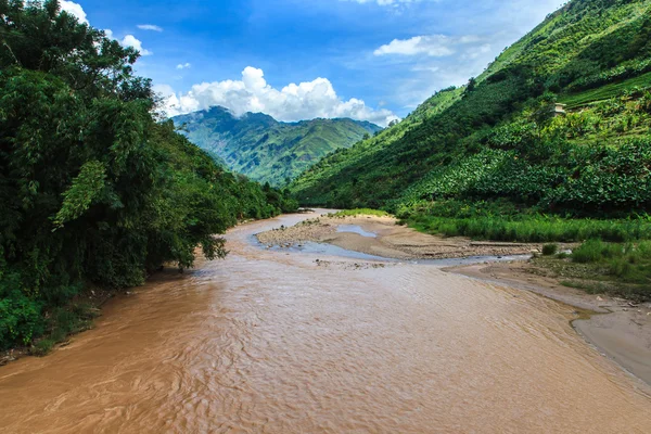 Floden rinner genom djungeln — Stockfoto