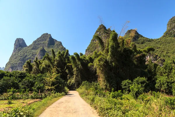 Vägen genom en bambuskog med branta berg i ryggen — Stockfoto