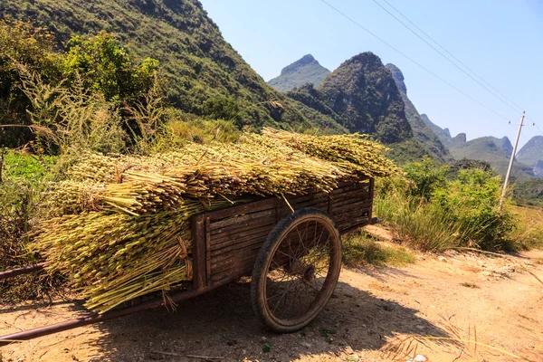 Harvest on a chariot near the road side — Stock Photo, Image