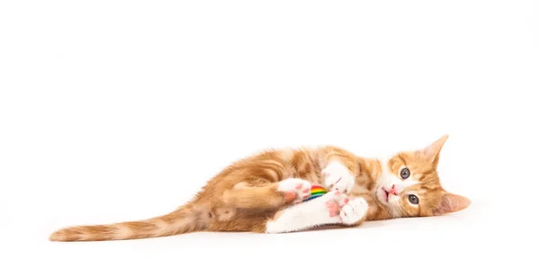 Kleines rotes Kätzchen, das mit Ball spielt. — Stockfoto