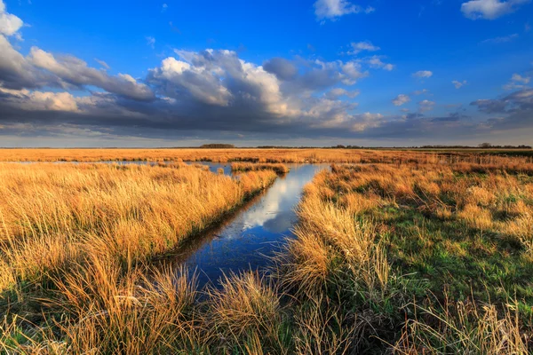 Ängen landskap med vackra molnlandskap — Stockfoto