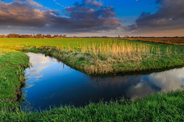 Grasland en sloot bij zonsondergang — Stockfoto