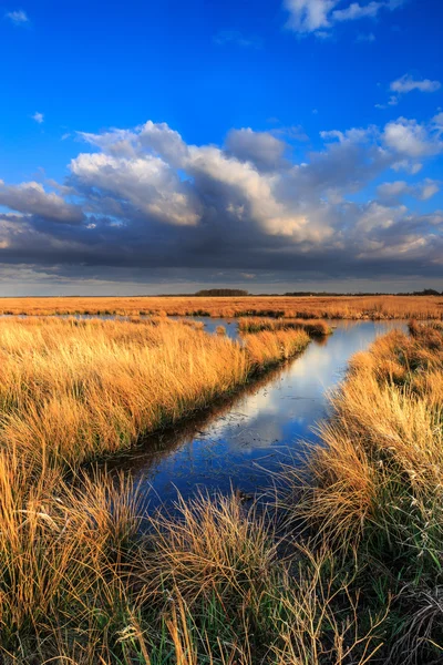 Meadow landscape with beautiful cloudscape — Stock Photo, Image