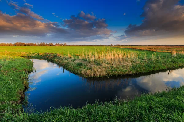 Grasland en sloot bij zonsondergang — Stockfoto