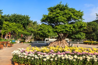 Geleneksel Çince Bahçe ile renkli çiçekler