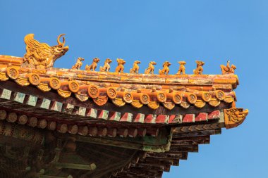 Pekin yasak şehir rooftops