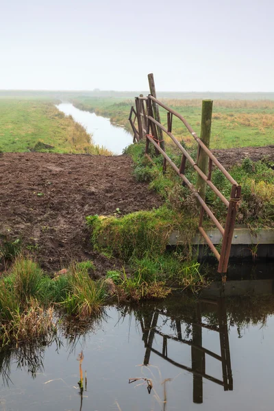 Hek in een koude ochtend gras landschap — Stockfoto