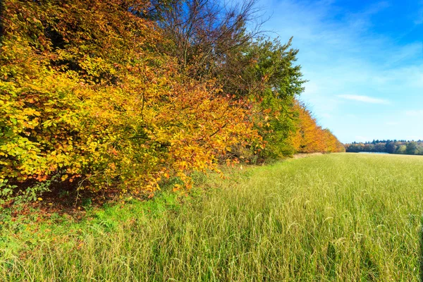 Krajobraz ziemi uprawnej w jesieni — Zdjęcie stockowe
