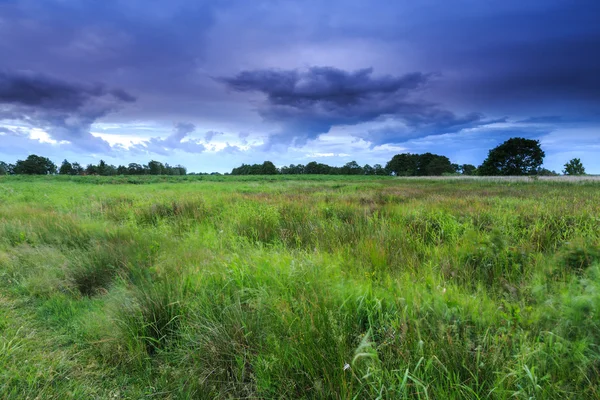 Paysage rural avec nuages sombres — Photo