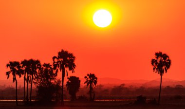 Turuncu Afrika peyzaj günbatımı kızdırma