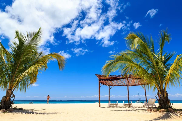 Palmera y camas en una playa tropical — Foto de Stock