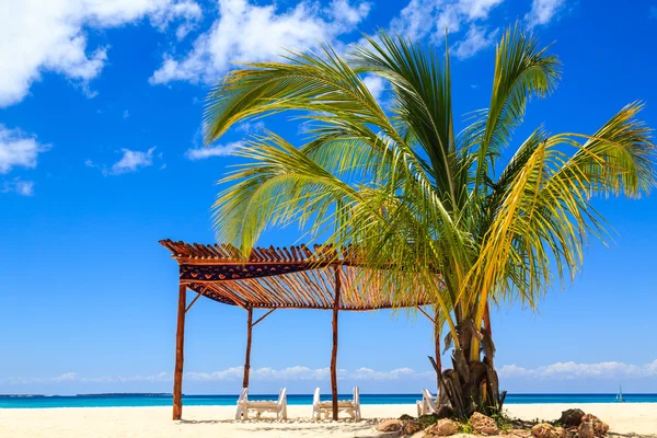 Palme e letti su una spiaggia tropicale — Foto Stock