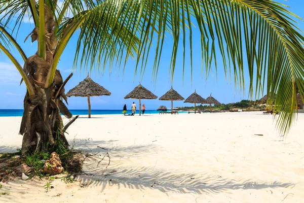 Palme und Sonnenschirme am Strand Stockbild